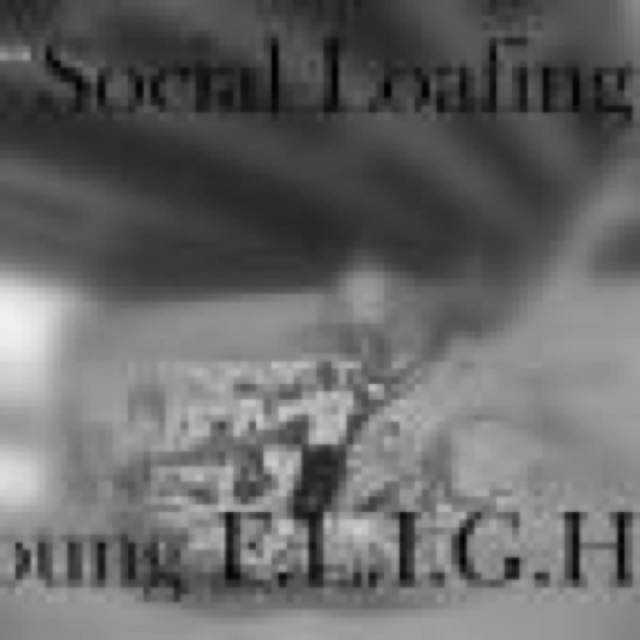 Social Loafing cover