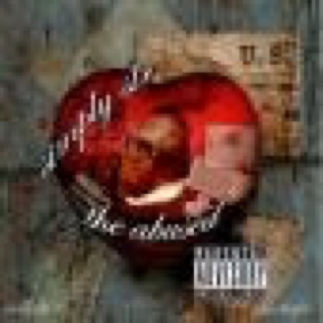 The Abused by SLR cover