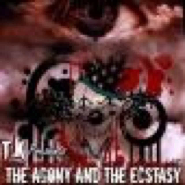 The Agony The Ecstasy cover