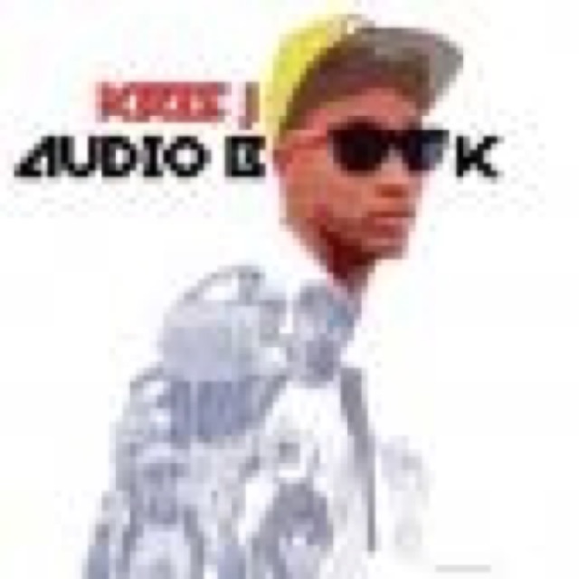 THE AUDIO BOOK cover