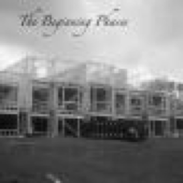 The Beginning Phases cover