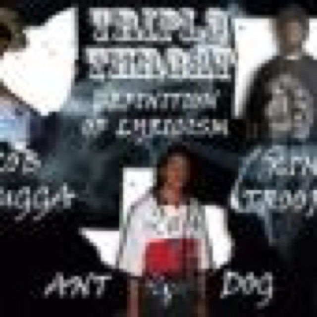The Definition of Lyricism 2009 by Tripl3 Thr3at cover