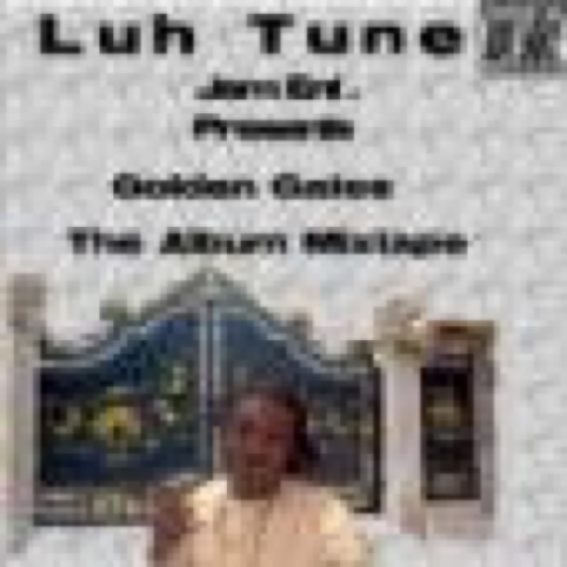 The Golden Gates by Luh Tune cover