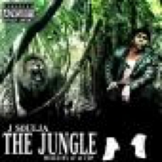 The Jungle cover