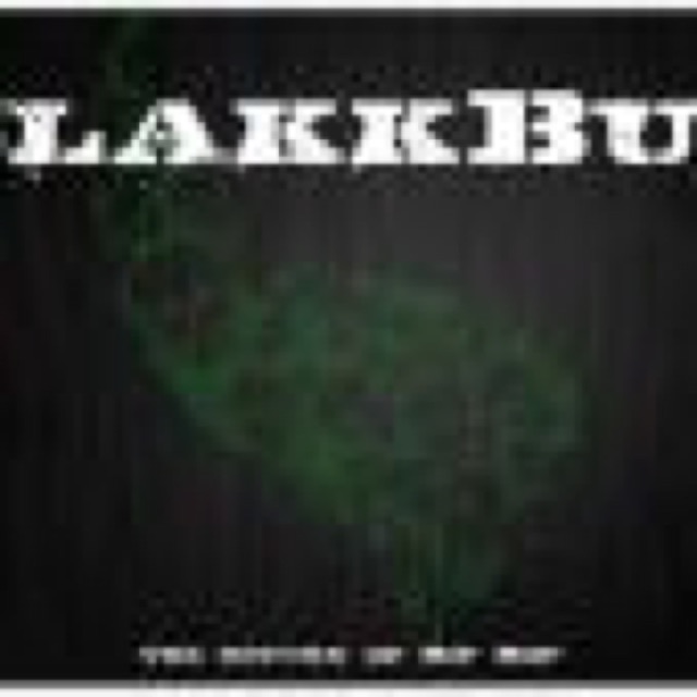 The Return Of Hip Hop by Blakkbud cover