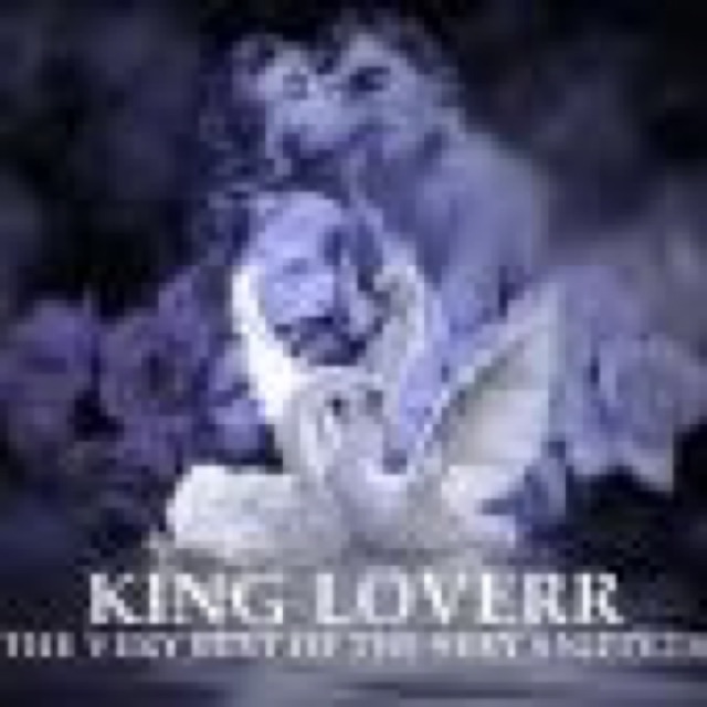THE VERY BEST OF THE SEXY SNIPPETS cover