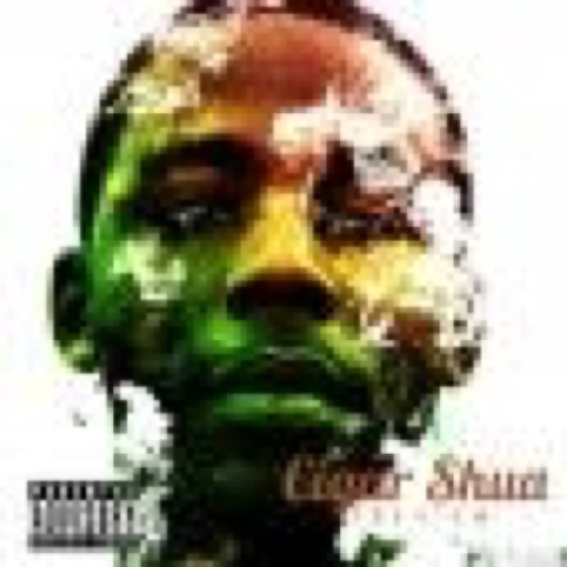 The View Vol 1 by Cigar Shua cover