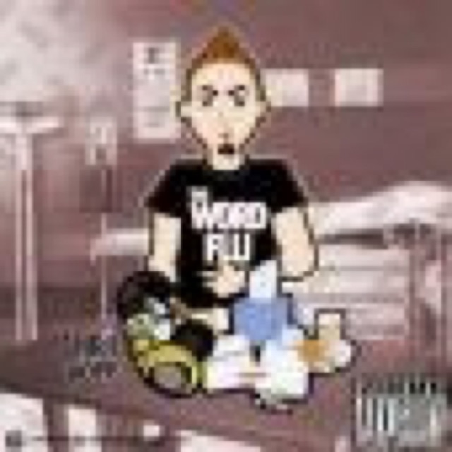 The Word Flu by Chris Hopp cover