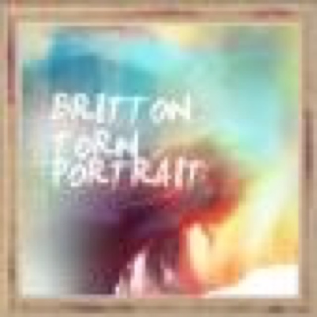 TORN PORTRAIT by BRITTON cover