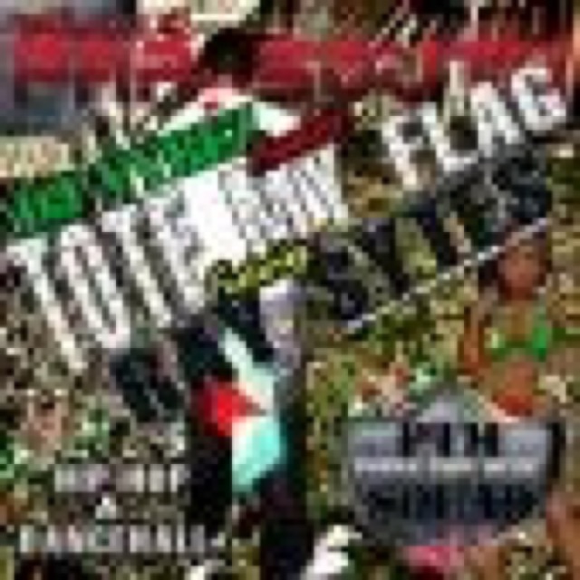 Tote My Flag cover