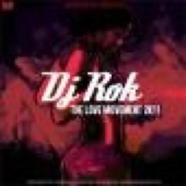 VA DJ Rok The Love Movement Summer 2k11 cover