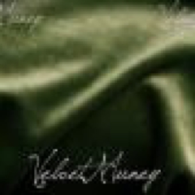 VELVETMUNEY cover