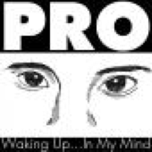 Waking Up In My Mind by Pro cover