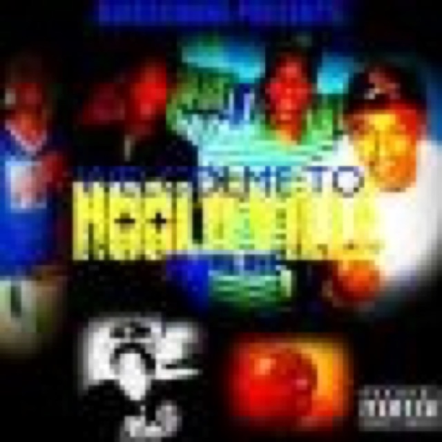 Welcolme To Hoolieville cover