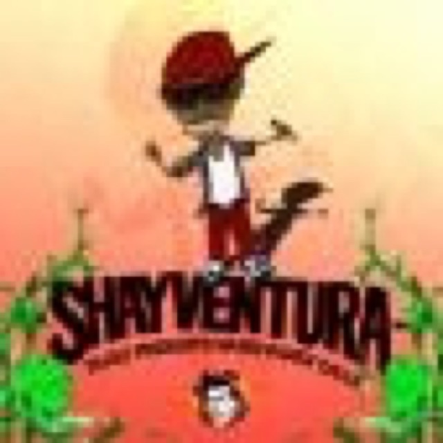 When Paper Calls by Shay Ventura cover