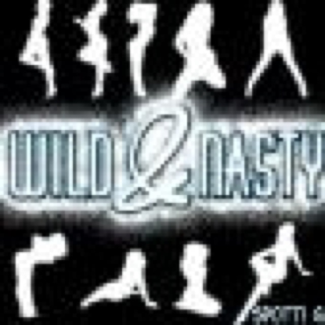 Wild Nasty cover