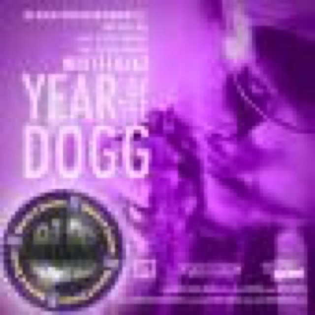 Year Of The Dogg Slow Lane Remix cover