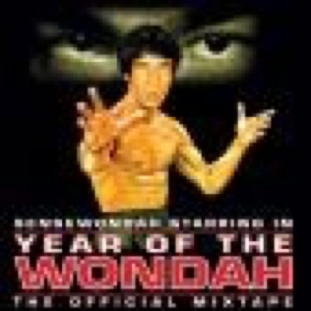 Year Of The Wondah cover