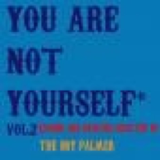 You Are Not Yourself vol 2 by Beach Boys, Crocodiles, Crystal Castles, Foo Fighters, Metric Easy Star All Stars, Marvin Gaye vs Ratatat, Noah and the Whale, Miike Snow, Nick Cave and the Bad cover