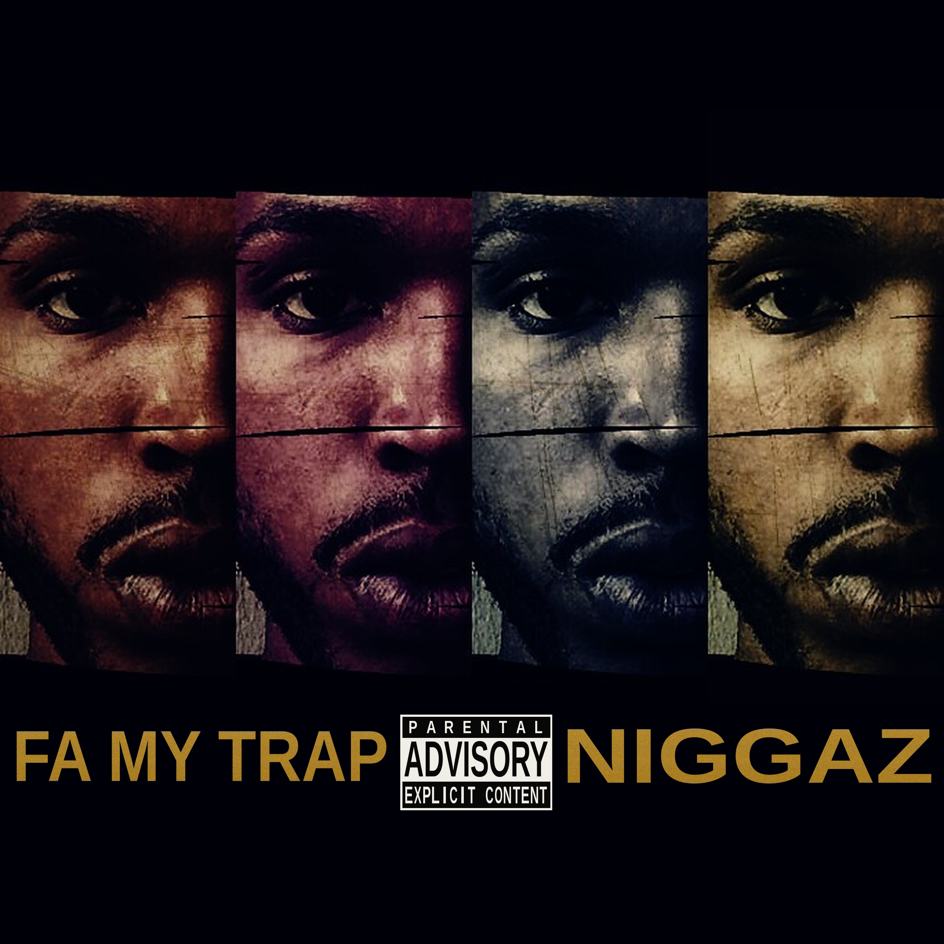 FA MY TRAP NIGGAZ by NOOKIOO cover