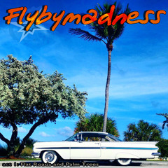 FLAT ROADS AND PAM TREES by FLYBYMADNESS cover